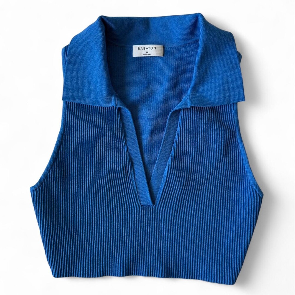 Aritzia Women's Blue Crop-top